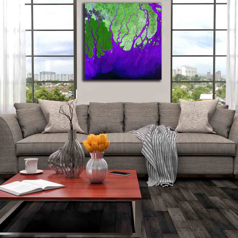 Ganges Satellite Image Canvas Print Installed | Wallhogs