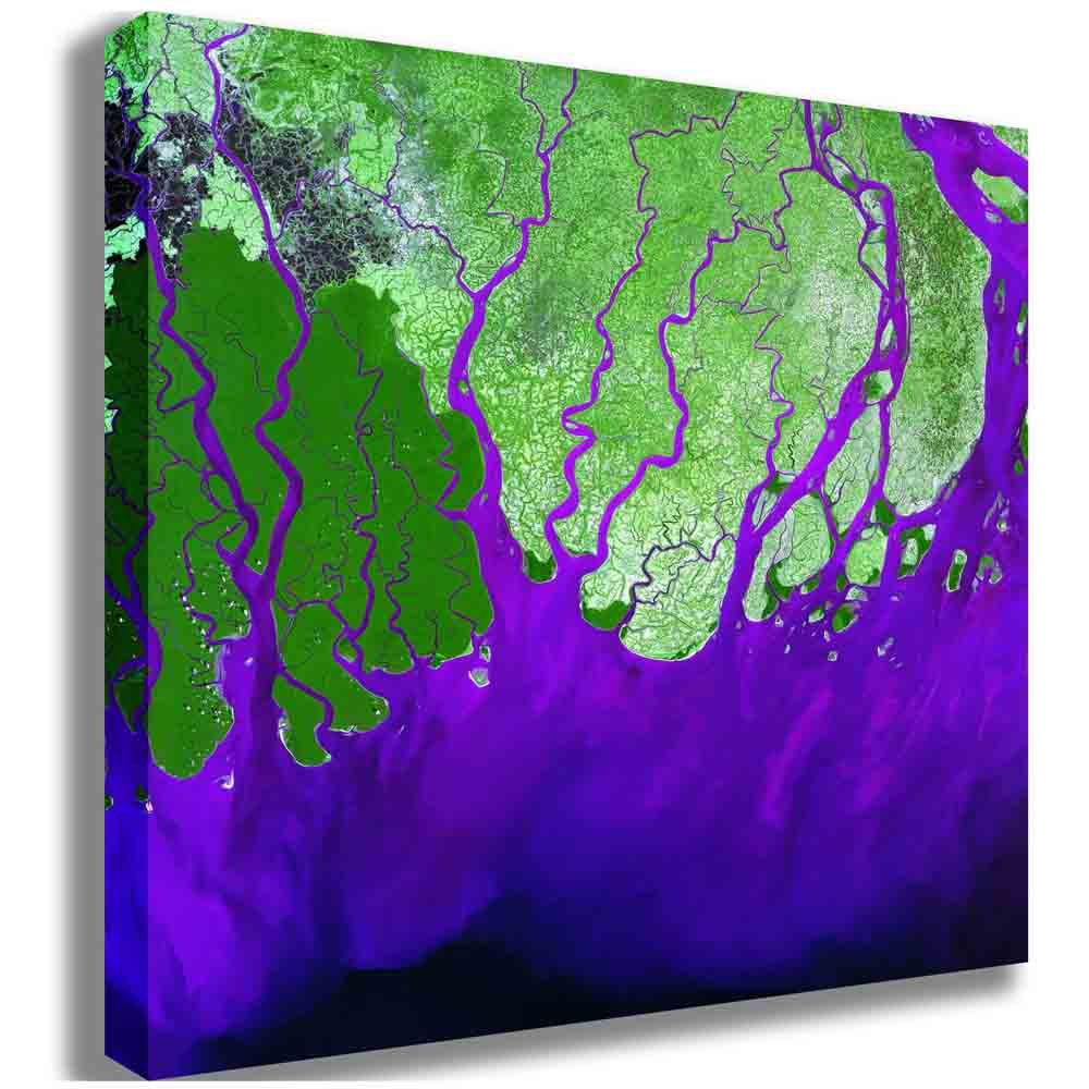 Ganges Satellite Image Canvas Printed | Wallhogs