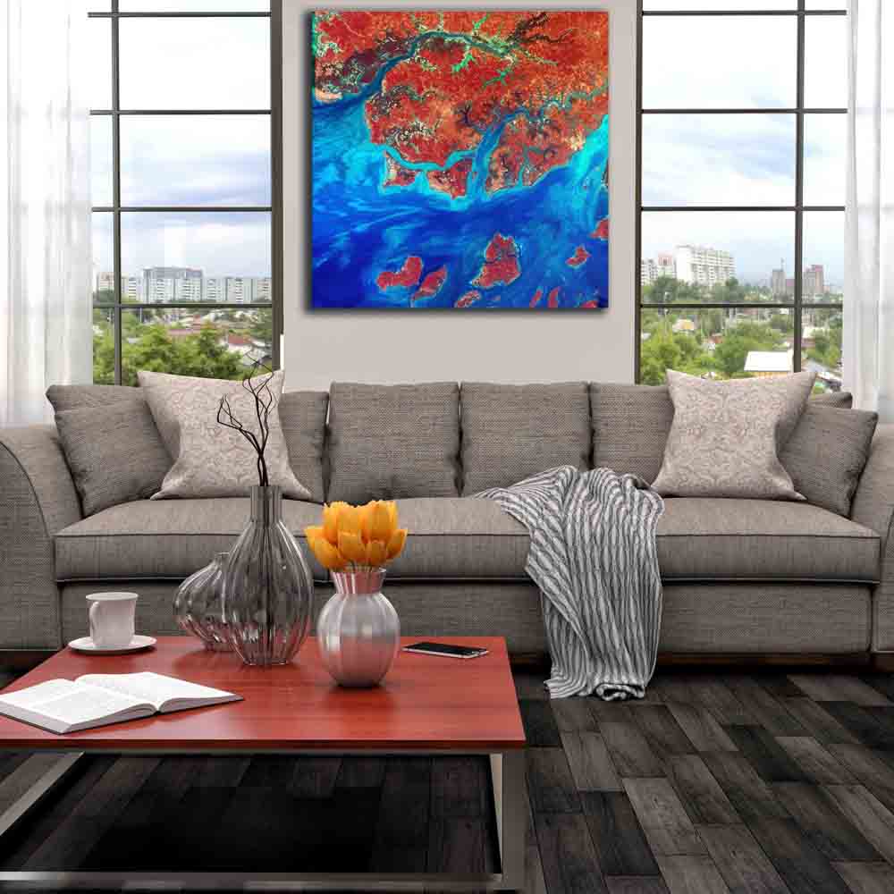 Guinea Satellite Image Canvas Print Installed | Wallhogs