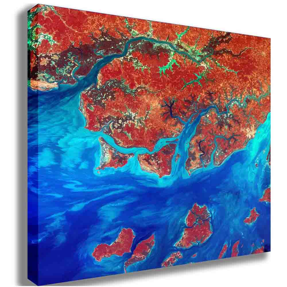 Guinea Satellite Image Canvas Printed | Wallhogs