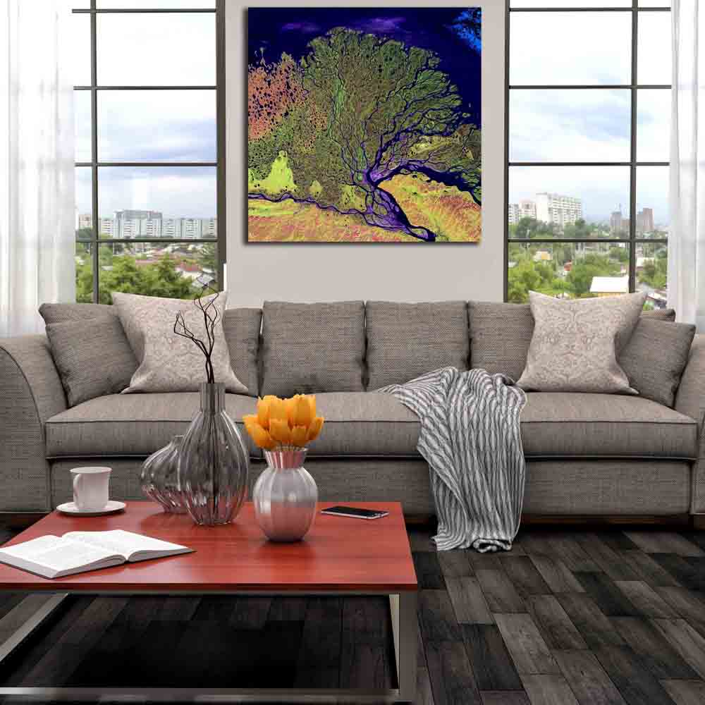 Lena Satellite Image Canvas Print Installed | Wallhogs