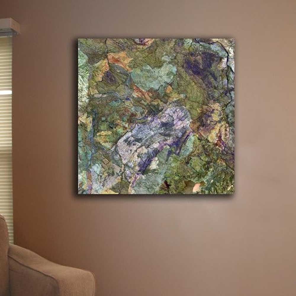 Great Sandy Desert Satellite Image Canvas Print Installed