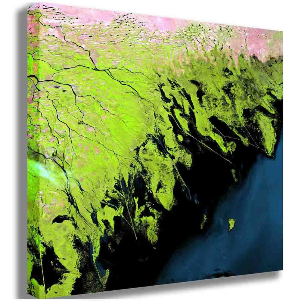 Volga Delta Satellite Image Canvas Printed | Wallhogs