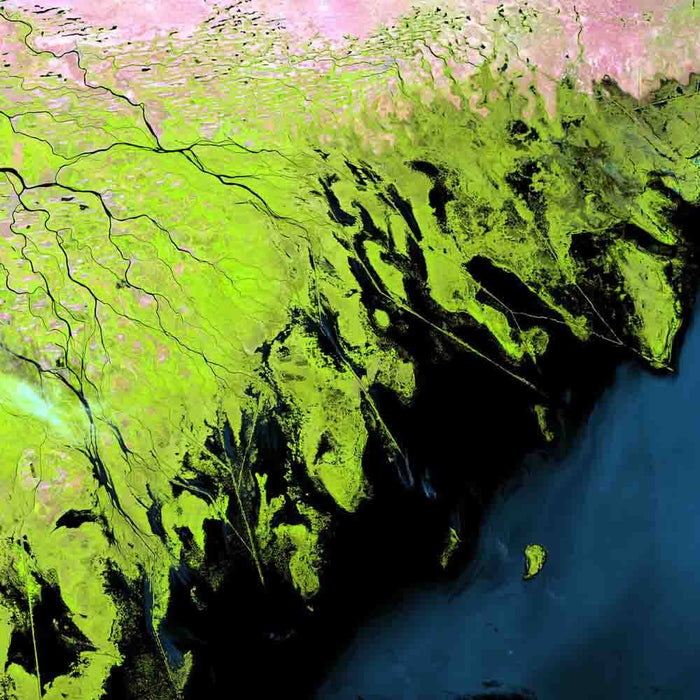 Volga Delta Satellite Image Wall Decal Printed