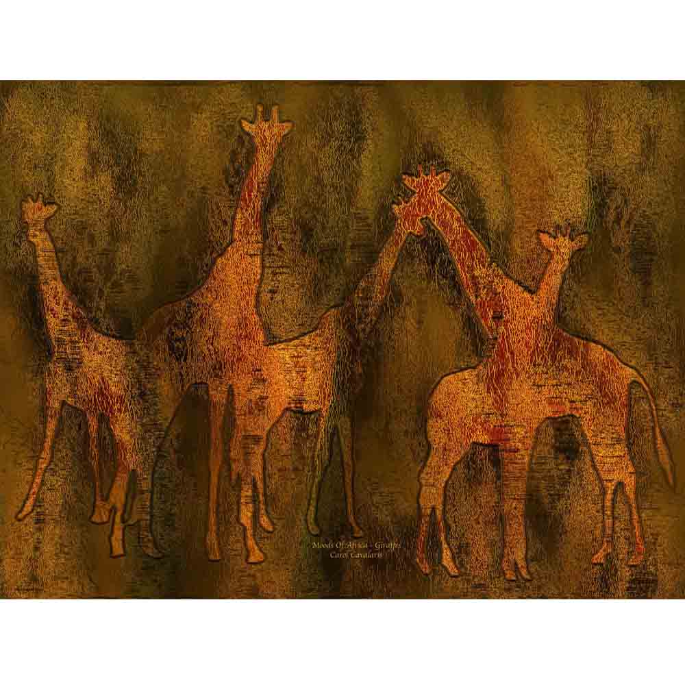 Moods Of Africa-Giraffes Gloss Poster Printed