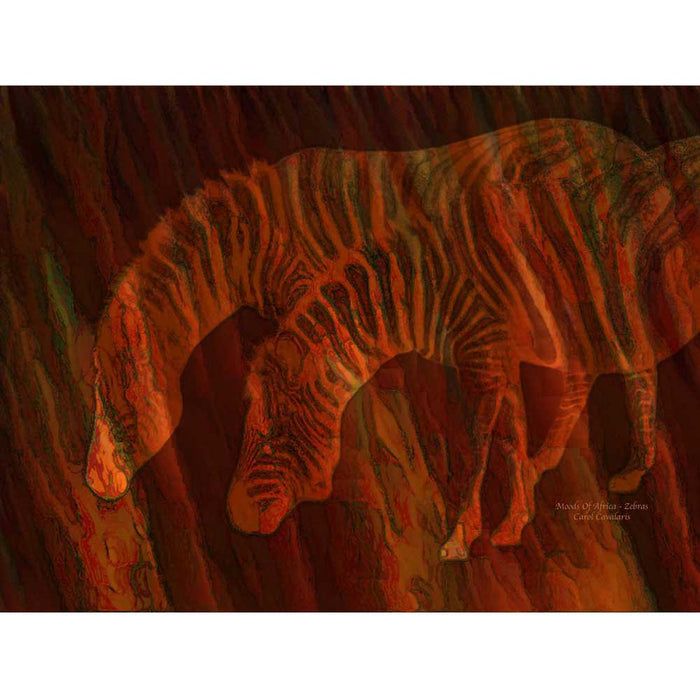 Moods Of Africa - Zebras Gloss Poster Printed