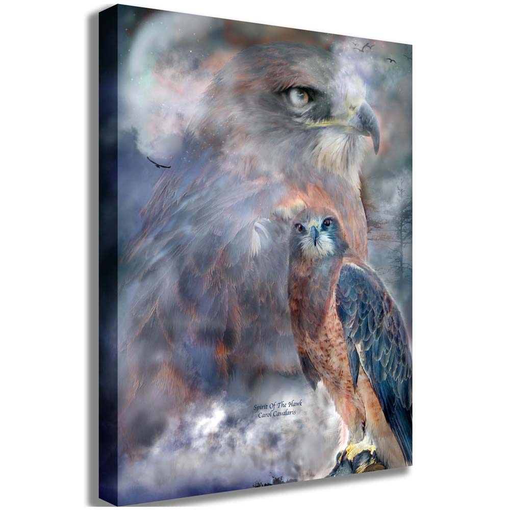 Spirit Of The Hawk Canvas Printed | Wallhogs