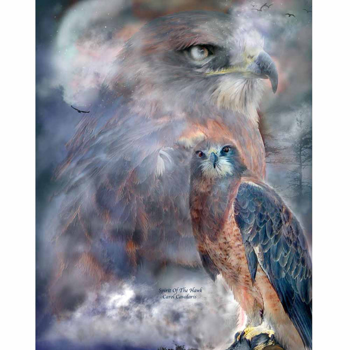 Spirit Of The Hawk Gloss Poster Printed | Wallhogs