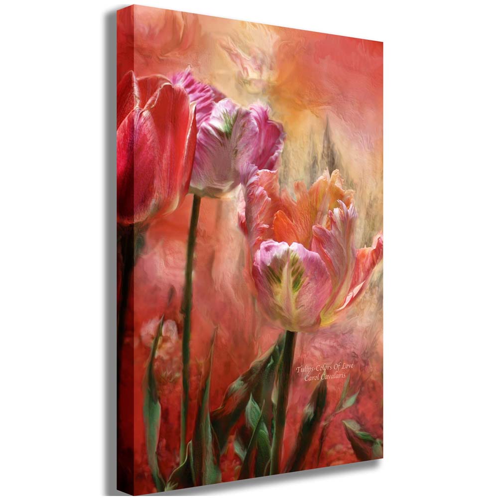 Tulips-Colors Of Love Canvas Printed | Wallhogs