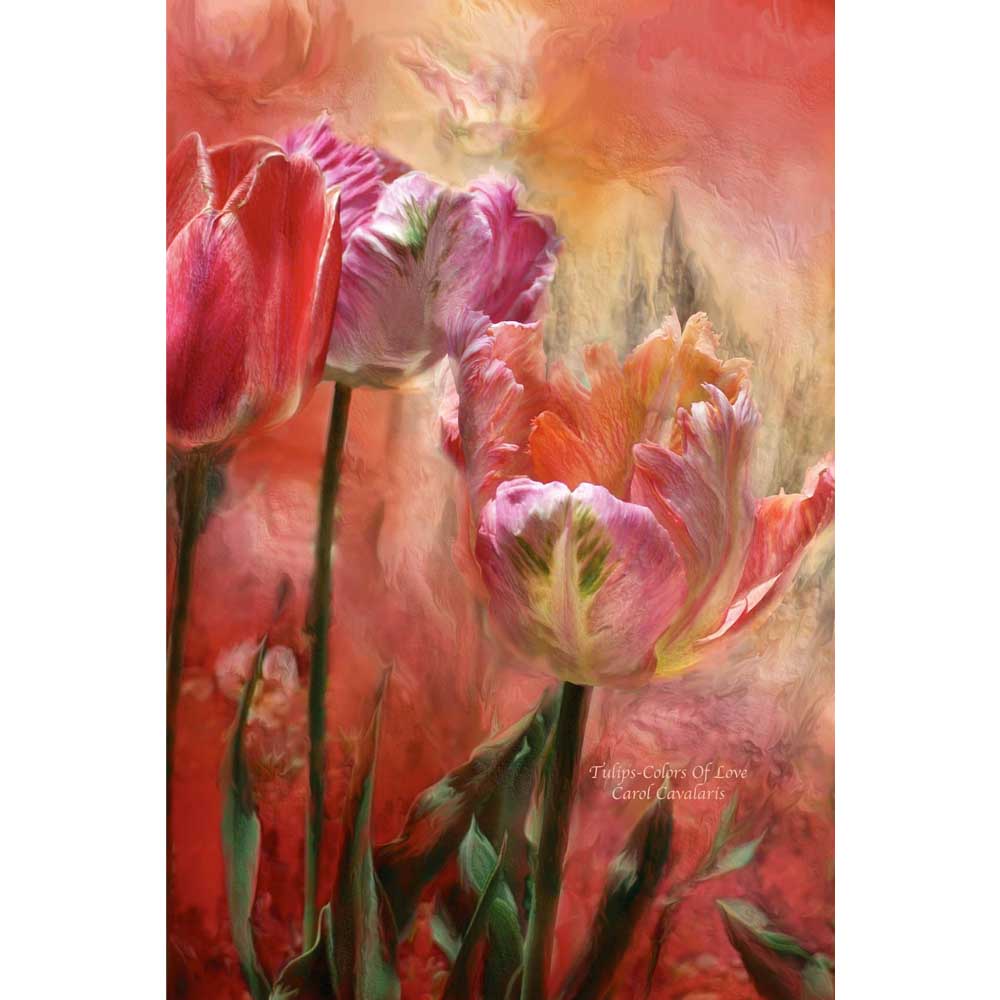 Tulips-Colors Of Love Gloss Poster Printed