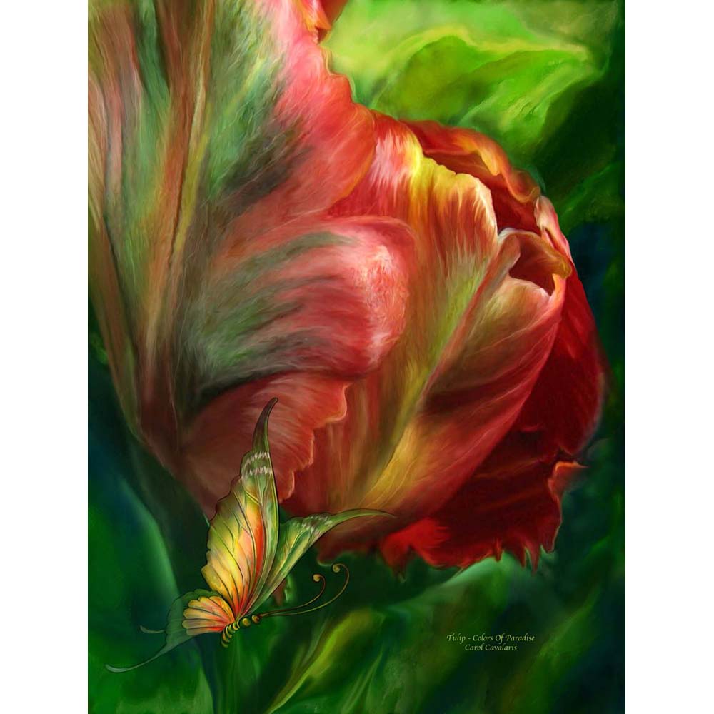 Tulips-Colors Of Paradise Gloss Poster Printed