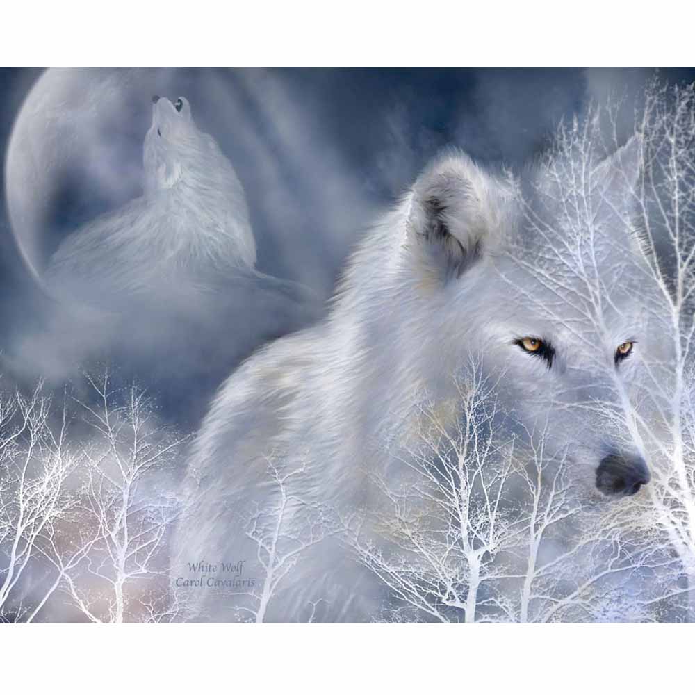 White Wolf Gloss Poster Printed | Wallhogs