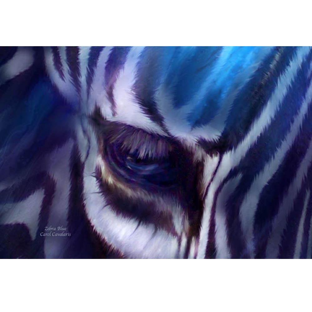 Zebra Blue Gloss Poster Printed | Wallhogs