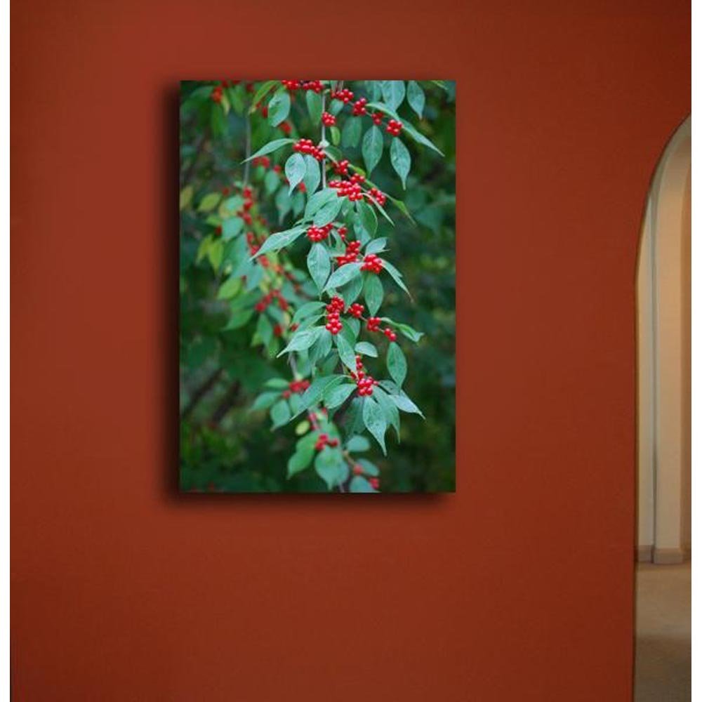 Berries Canvas Print Installed | Wallhogs