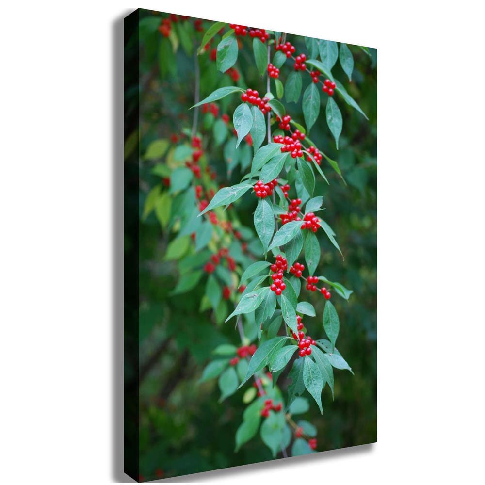 Berries Canvas Printed | Wallhogs