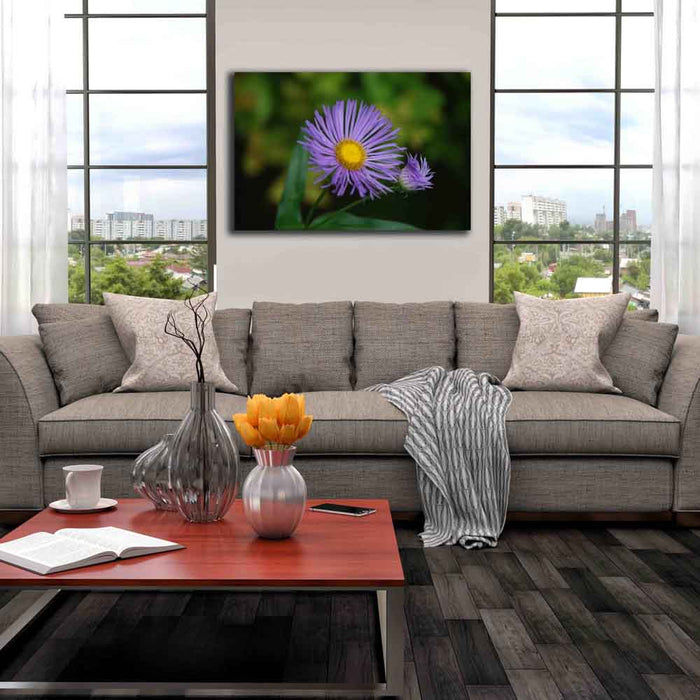 Purple Daisy Canvas Print Installed | Wallhogs