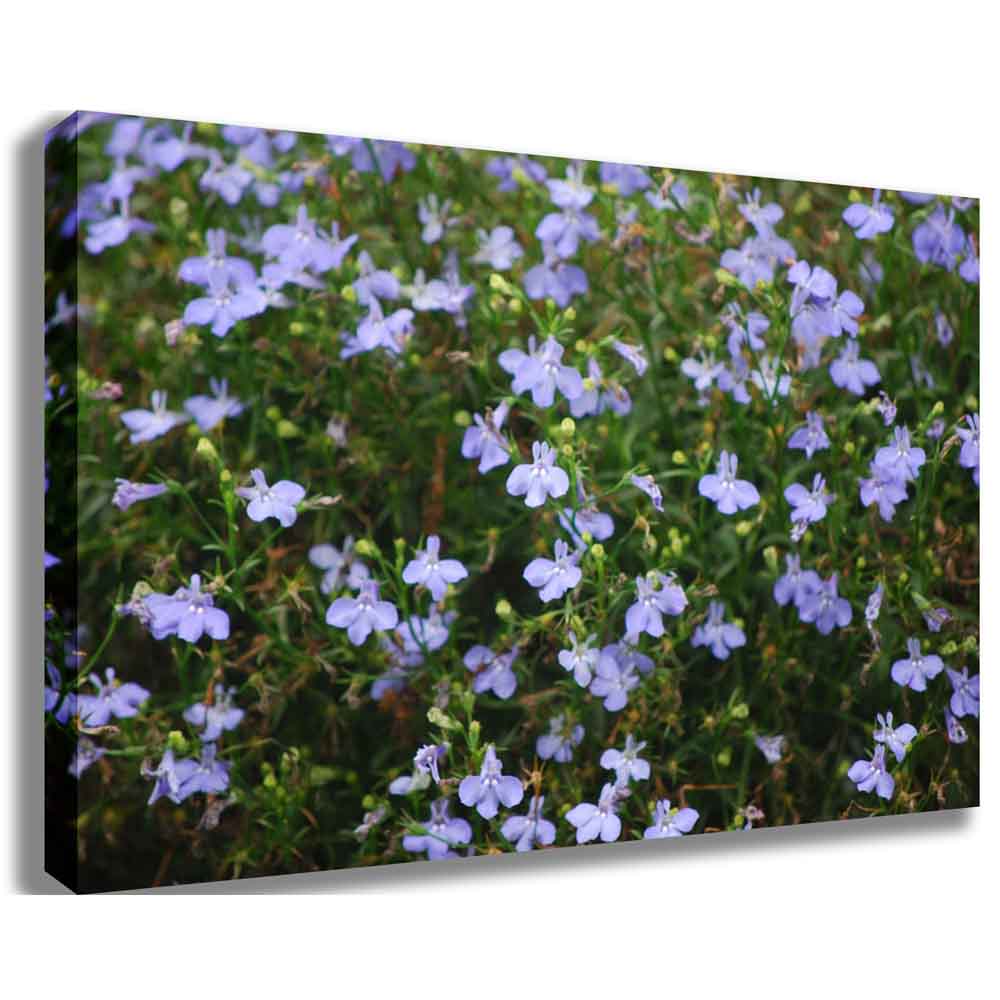 Purple Flowers Fine Art Canvas Printed | Wallhogs