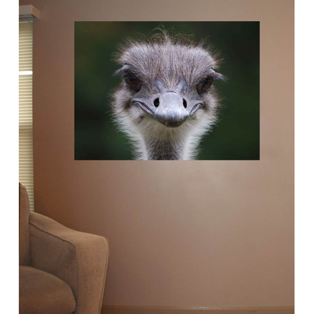 Ostrich Portrait Wall Decal Installed | Wallhogs