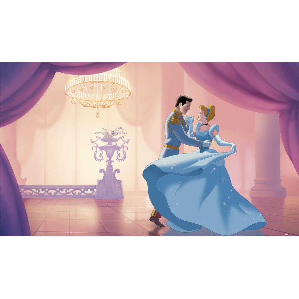 Disney Princess Cinderella Wall Mural Printed