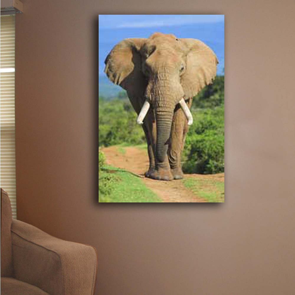 Elephant Charging Canvas Print Installed | Wallhogs