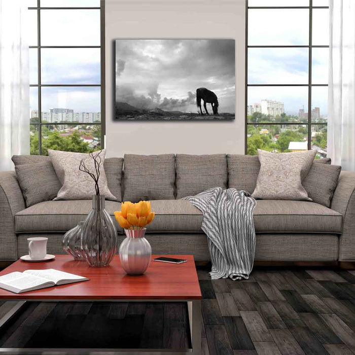 Grazing Horse Canvas Print Installed | Wallhogs