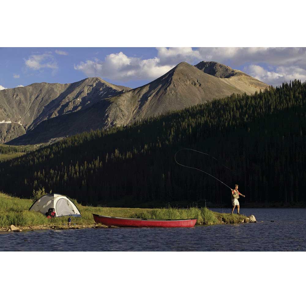 Majestic Sportsman Wall Decal Printed | Wallhogs