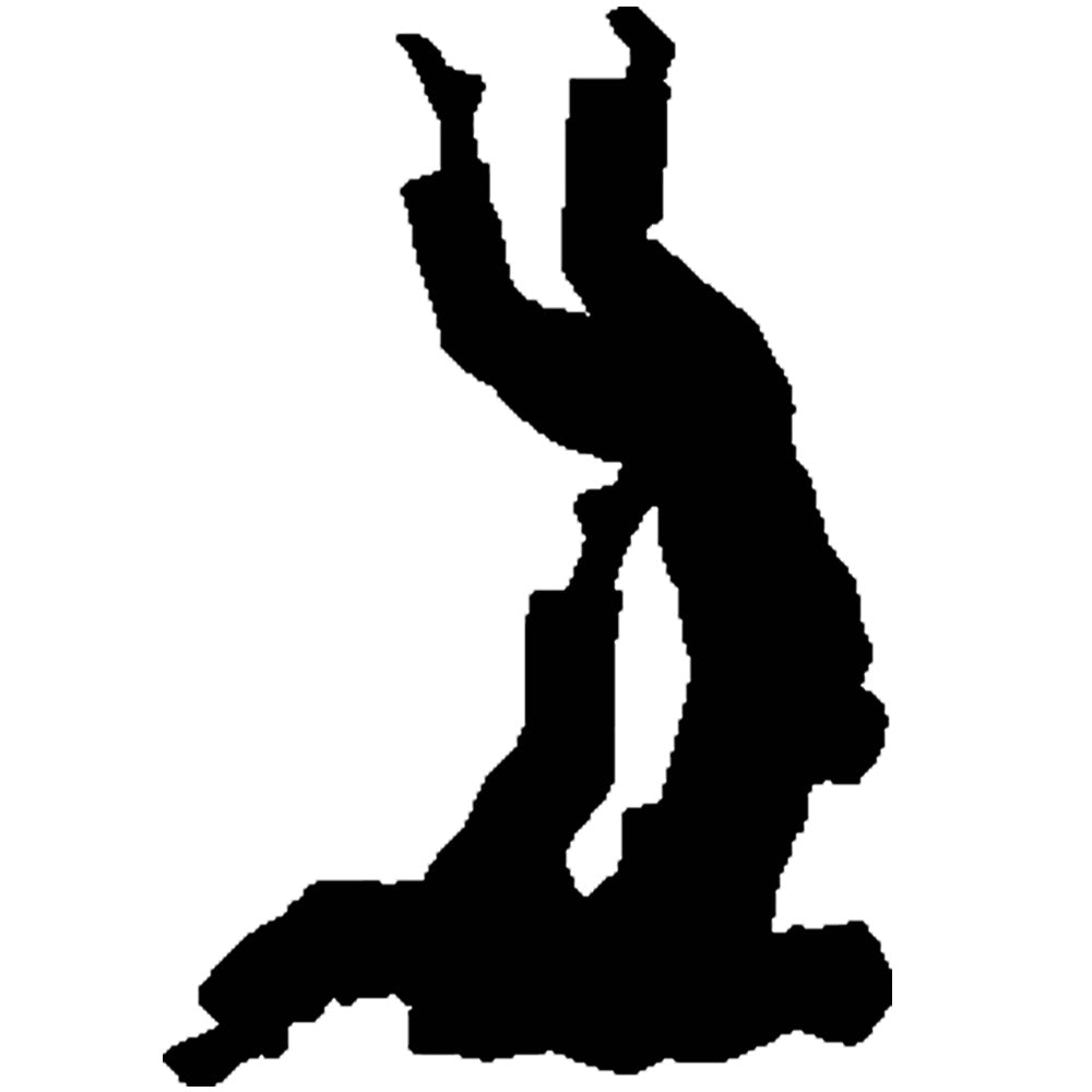 Martial Arts Jujitsu Silhouette Wall Decal Printed