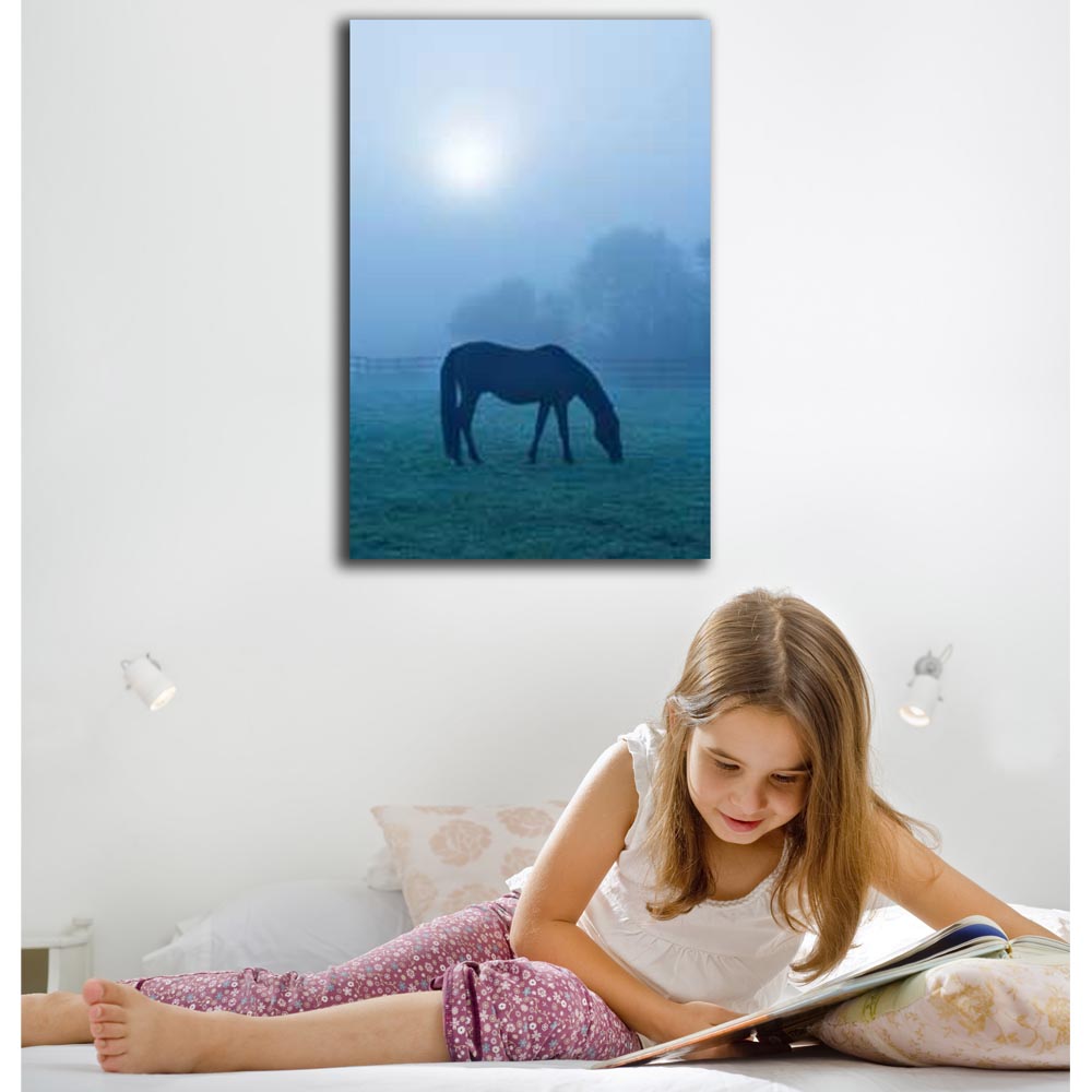 Morning Mist Horse Canvas Print Installed