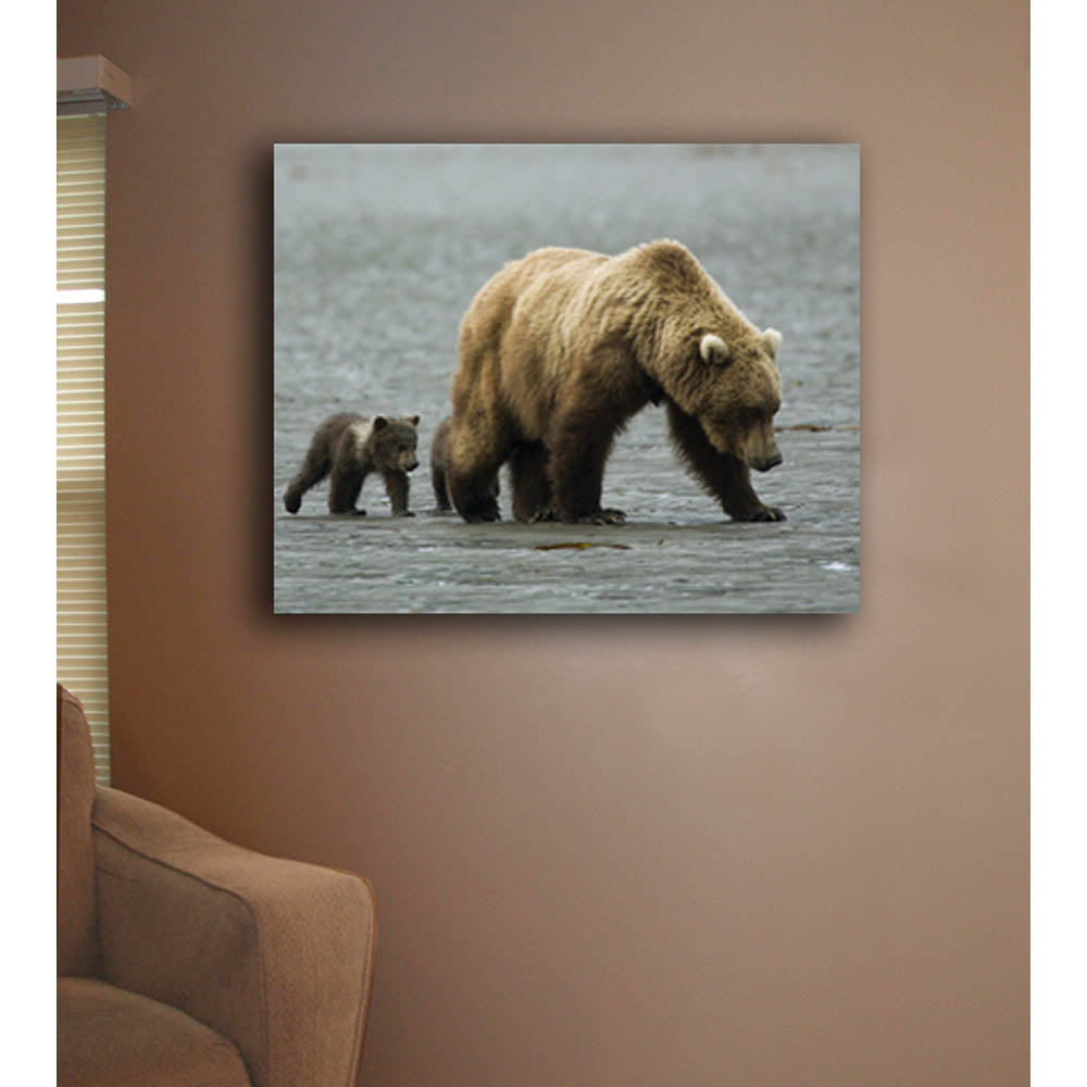 Mama & Baby Grizzly Canvas Print Installed | Wallhogs