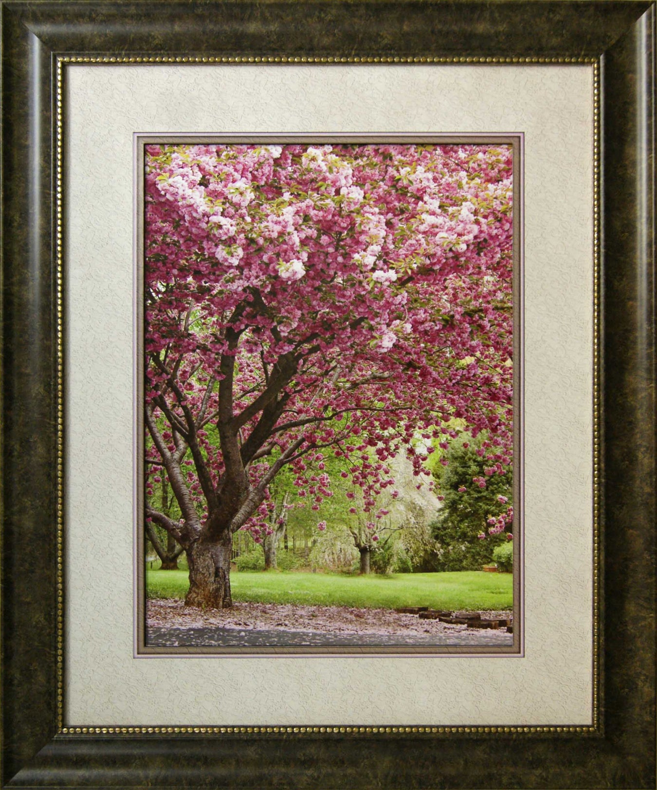 Photo - Framed Art