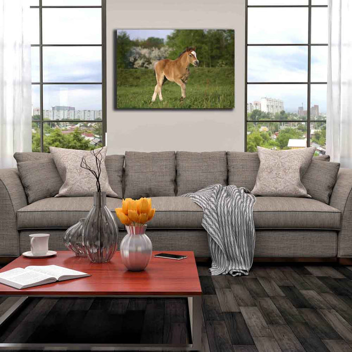 Pony in a Field Canvas Print Installed | Wallhogs
