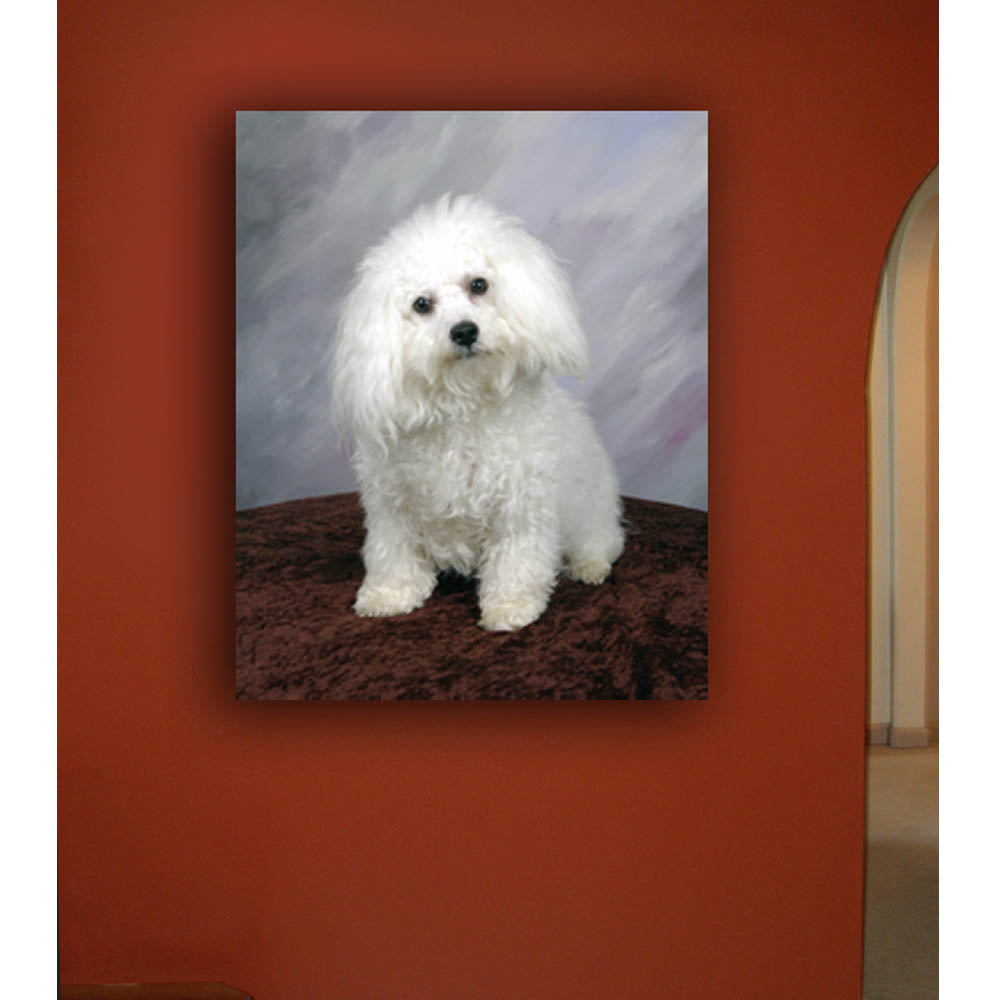 Poodle Portrait Canvas Print Installed | Wallhogs