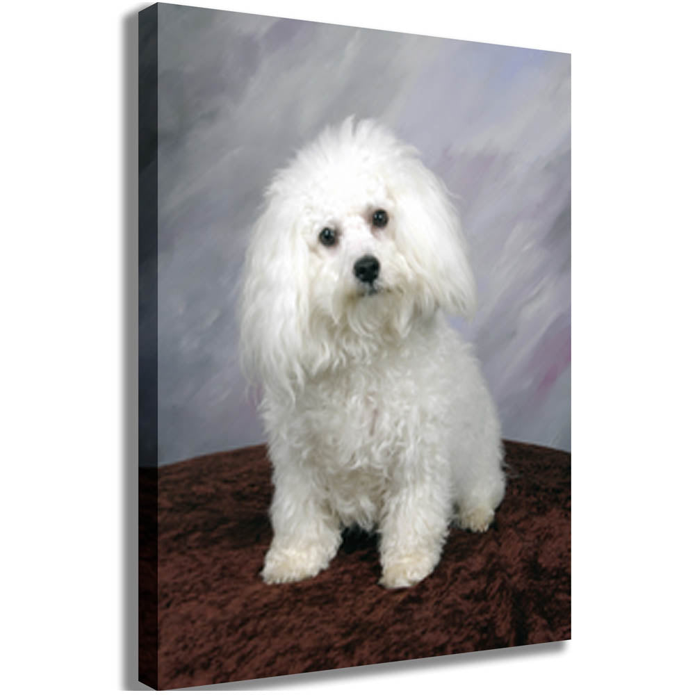 Poodle Portrait Canvas Printed and Stretched