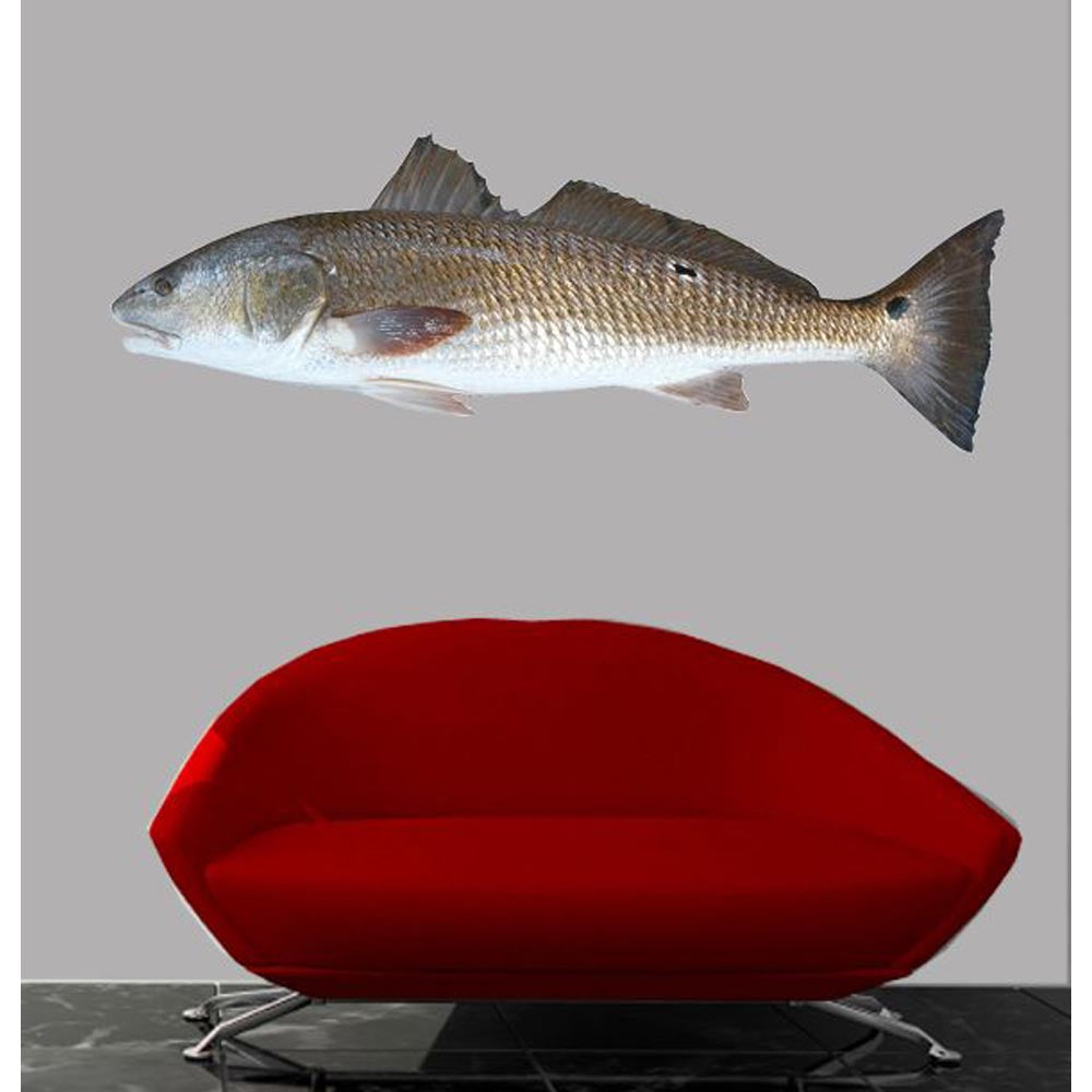 Red Drum Fish Wall Decal Installed | Wallhogs