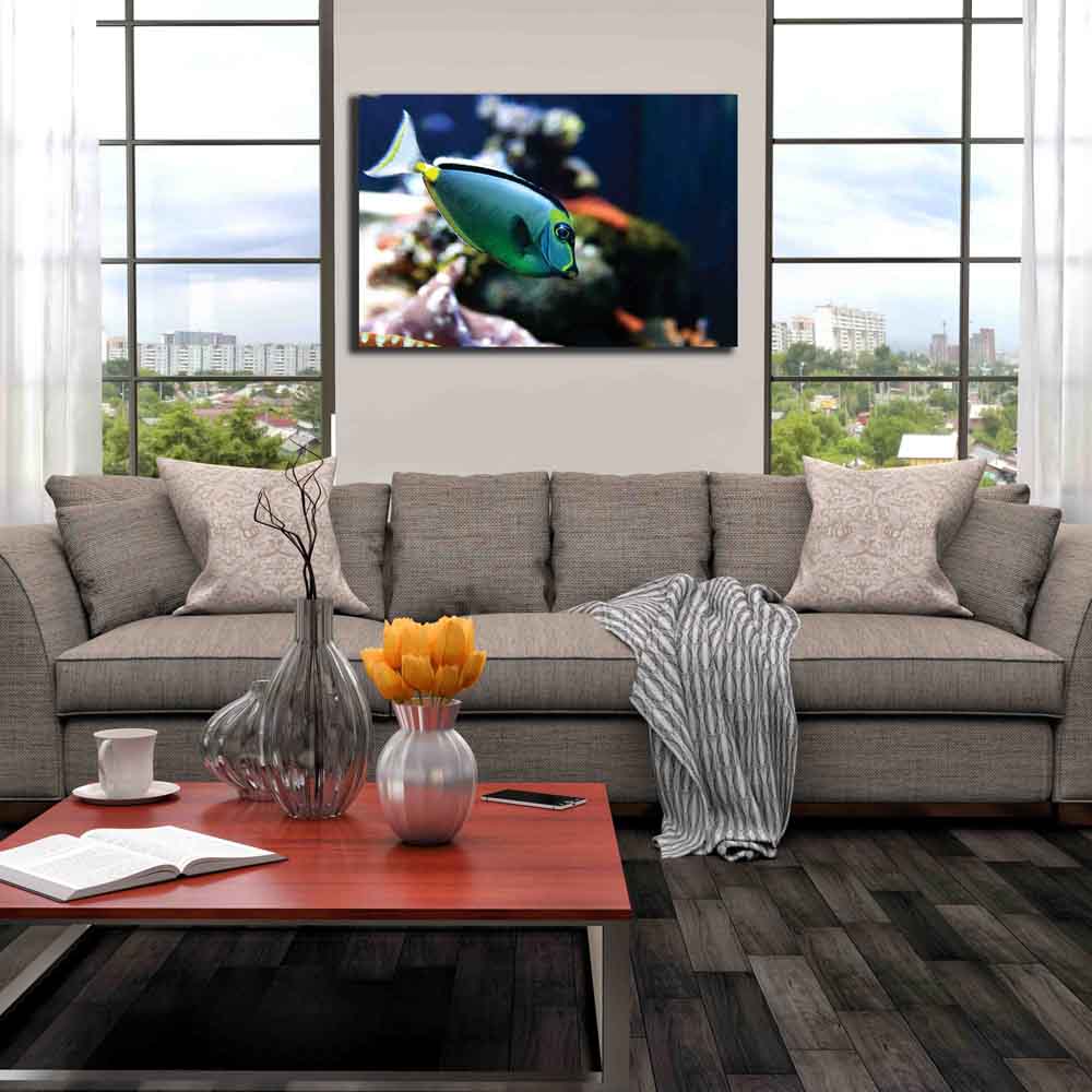 Reef Naso Tang Fish Canvas Print Installed