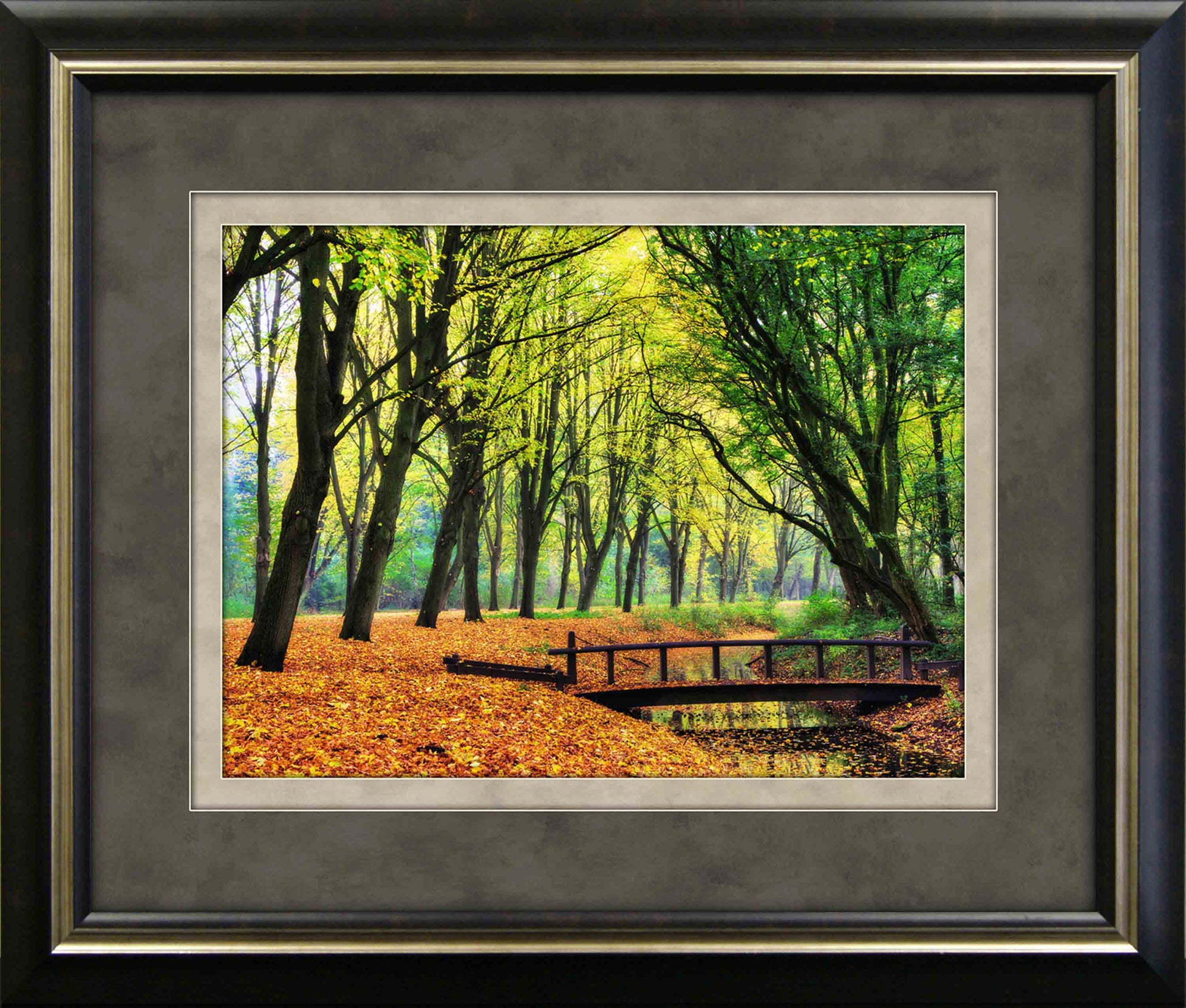 Fall Tree Tunnel Framed Art 19.25