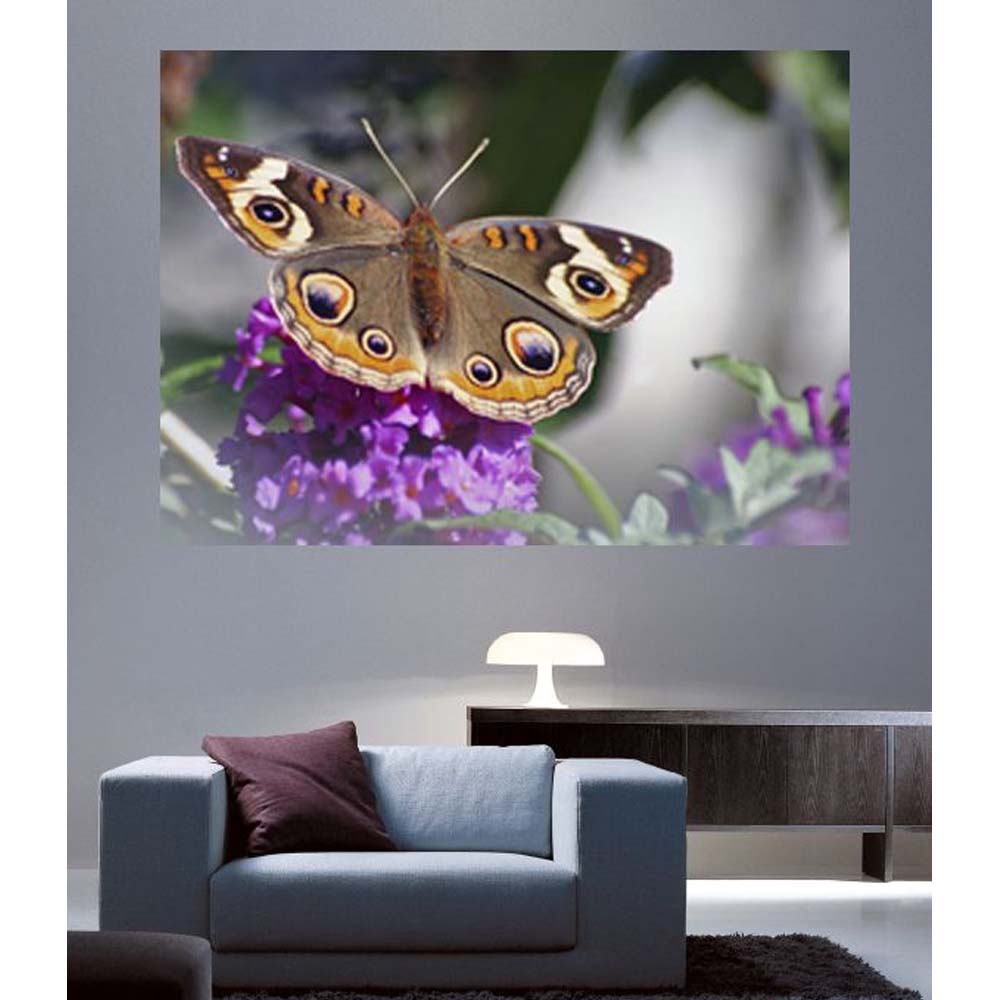 Spotted Butterfly on Purple Flower Wall Decal Installed