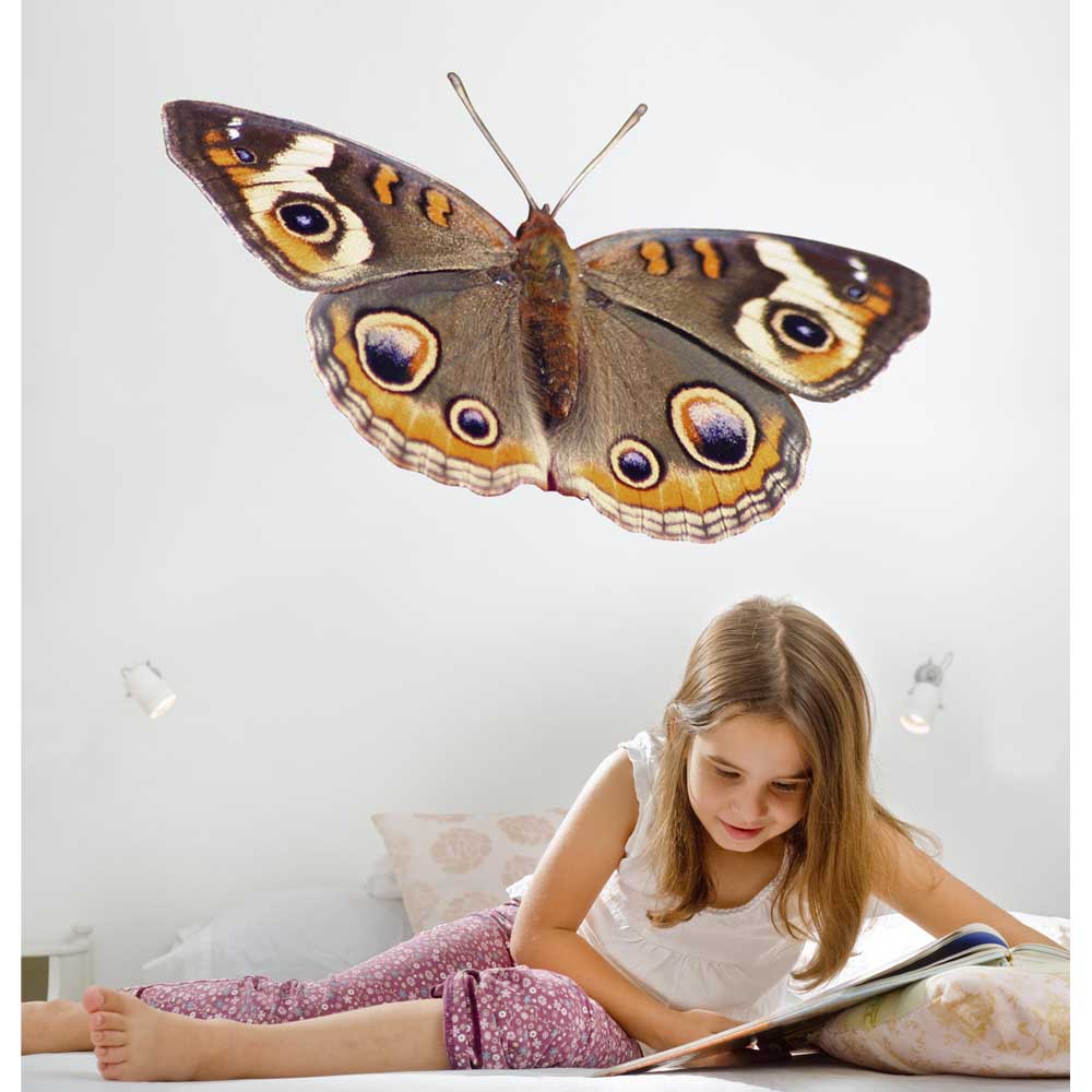 Spotted Butterfly Wall Decal Installed | Wallhogs