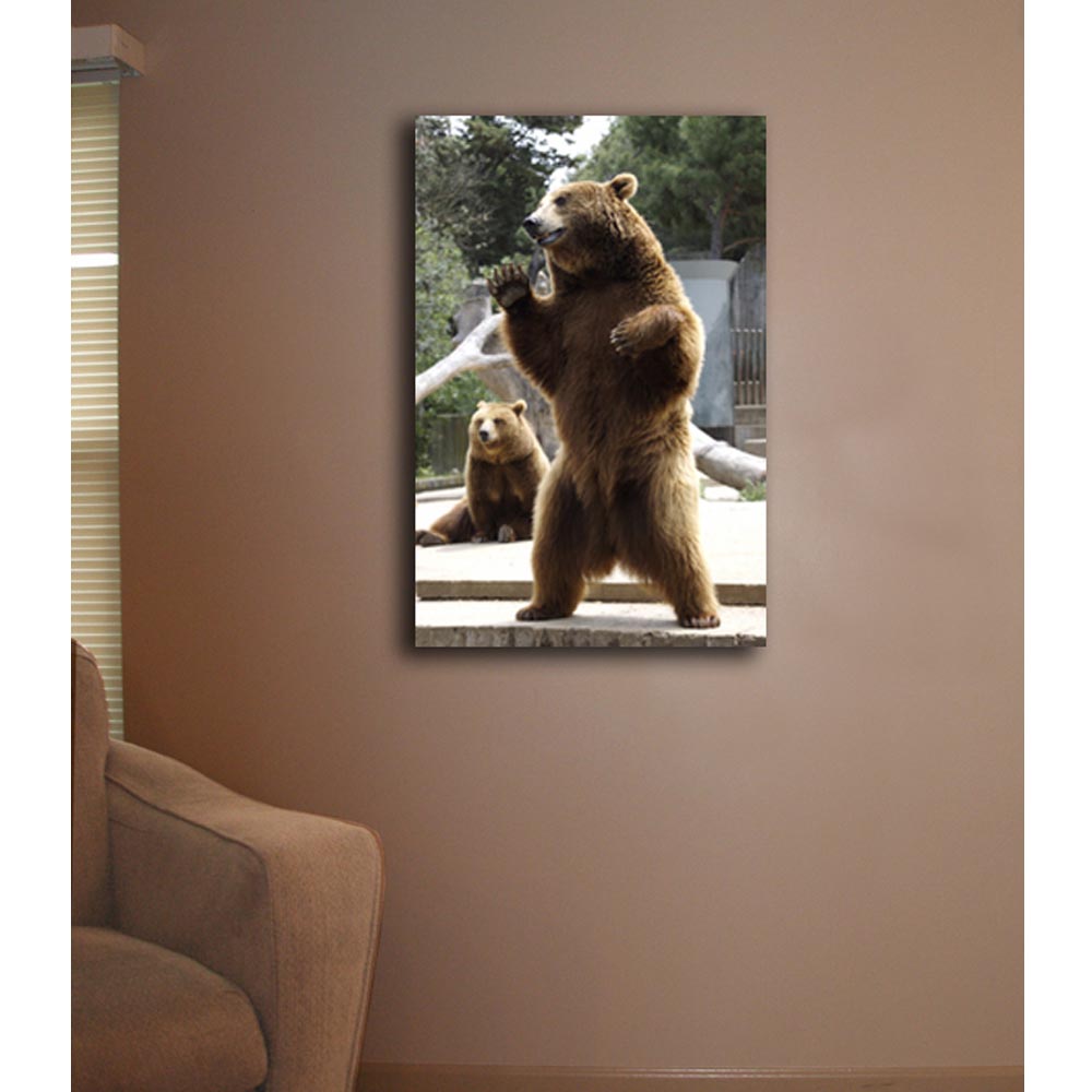 Standing Bear Canvas Print Installed