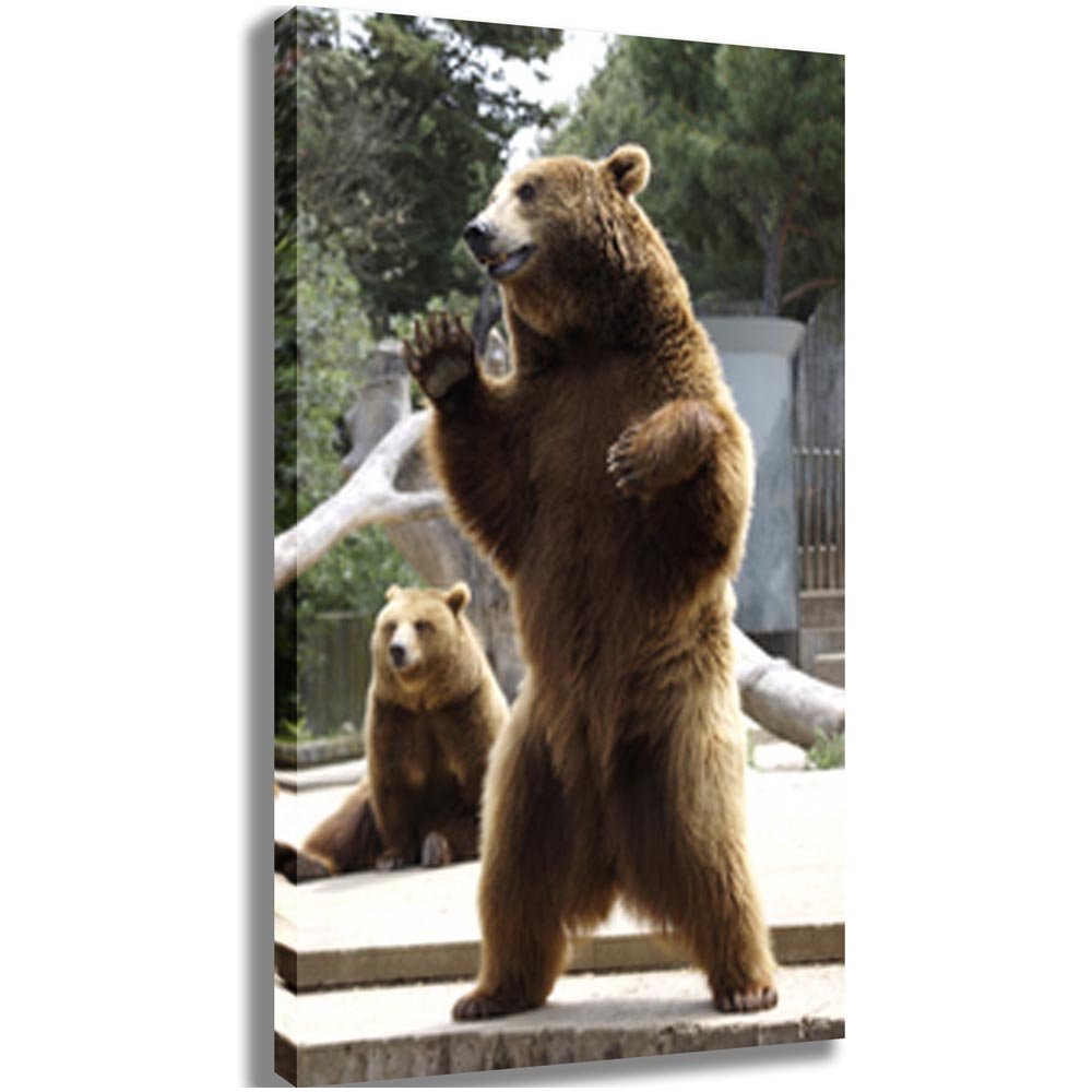 Standing Bear Canvas Printed and Stretched