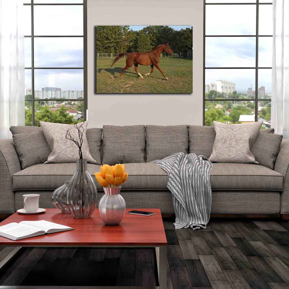 Trotting Horse Canvas Print Installed