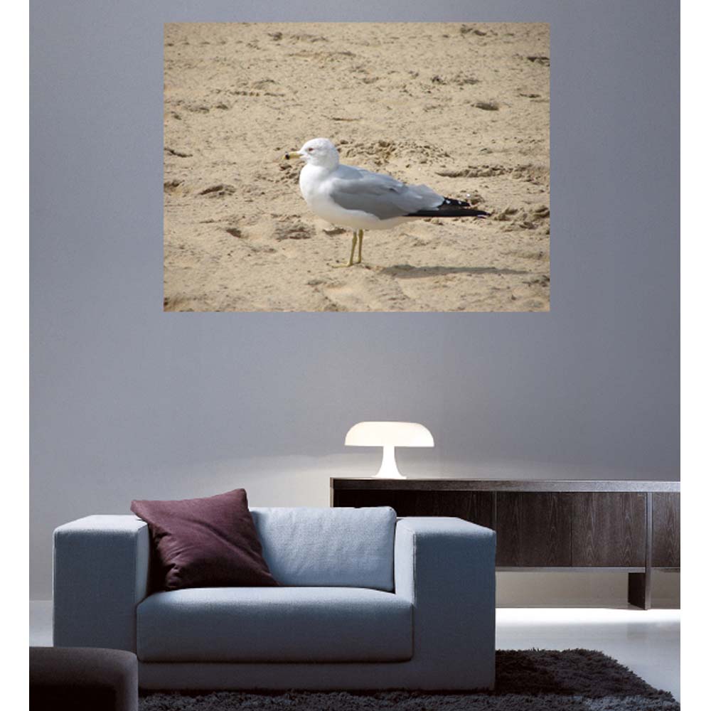 Seagull On the Beach Gloss Poster Installed | Wallhogs