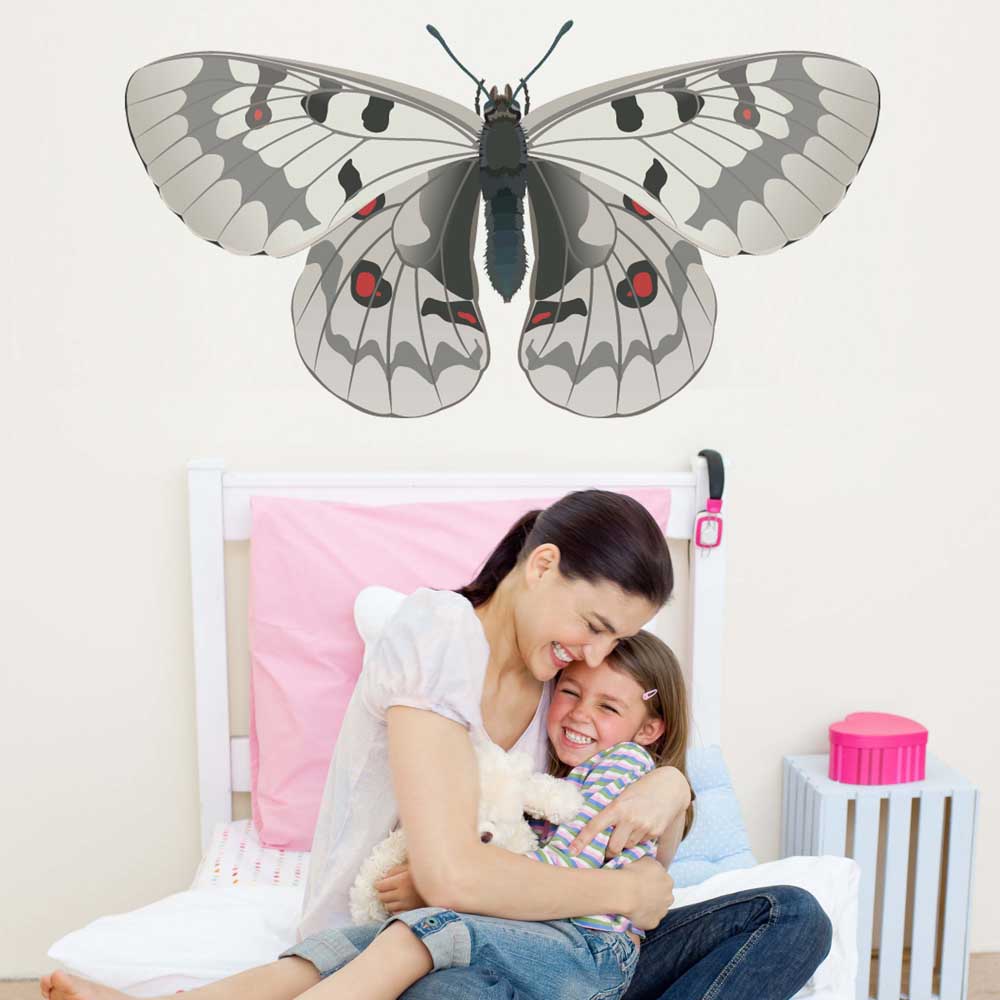 Apollo Butterfly Wall Decal Installed | Wallhogs