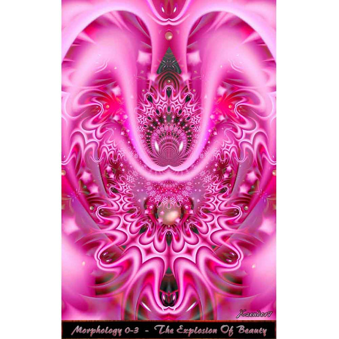 Explosion of Beauty Gloss Poster Printed | Wallhogs