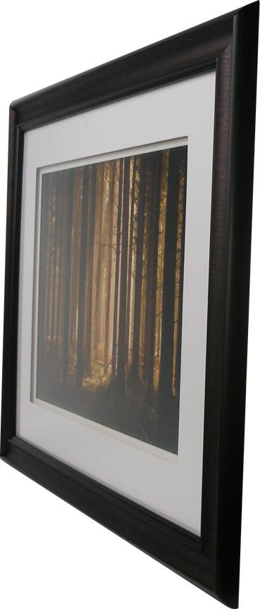 Pine Tree Light Framed Art Side Angle View